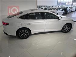 بي واي دي كوين L DM-i